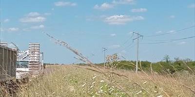 La DPEC refuerza con la colocación de columnas de Hormigón Armado la traza del Alimentador 1 "Curuzú Cuatiá - Sauce"