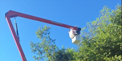 La DPEC realiza trabajos de mantenimiento y renovación de la red eléctrica en El Perichón